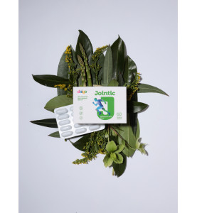 Daigo Jointic / Дайго Джойнтик с натуральным пептидом хлореллы, 60 капсул