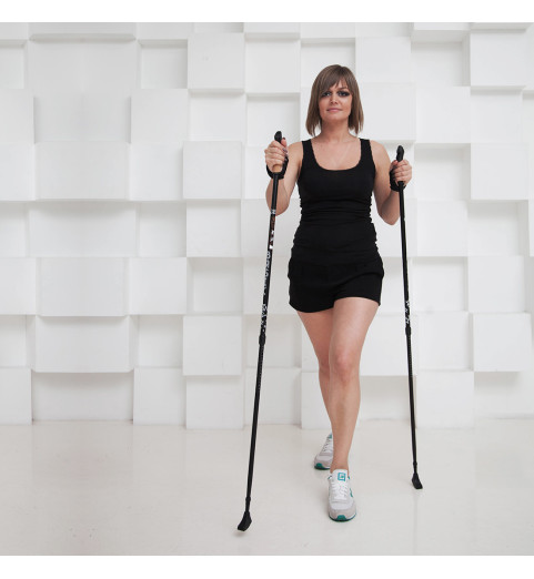 Basic Walker палки для скандинавской ходьбы (двухсекционные)