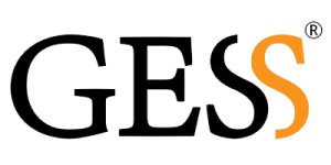 Gess массажер